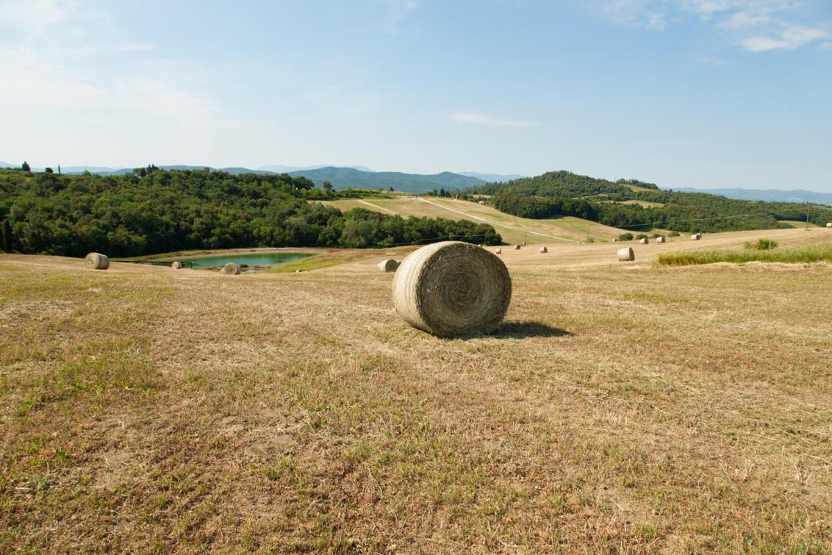 I Quattro Elementi Bed & Breakfast Volterra Exterior foto